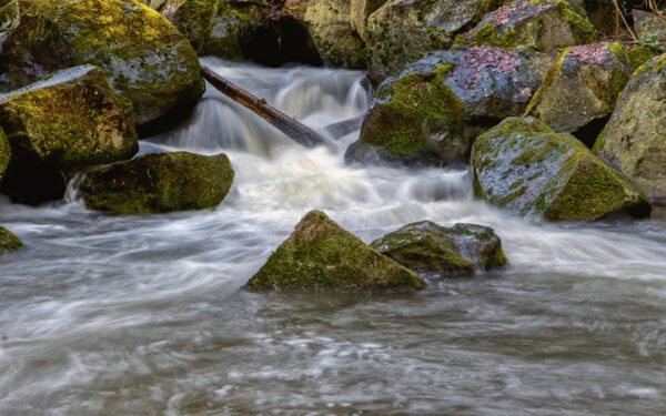 2023-01-FCa-0009-Nette-Rauscherpark-Plaidt