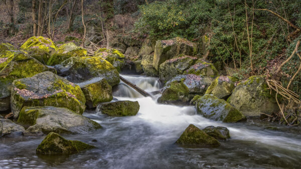 2023-01-FCa-0010-Nette-Rauscherpark-Plaidt