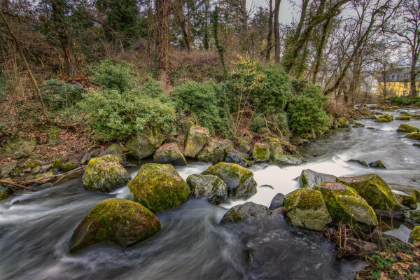 2023-01-FCa-0011-Nette-Rauscherpark-Plaidt