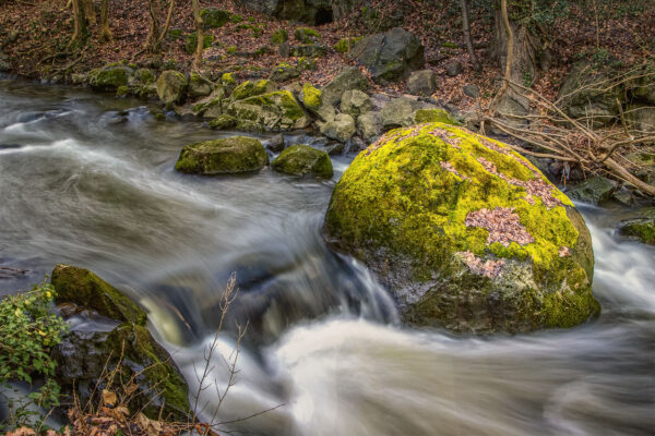 2023-01-FCa-0012-Nette-Rauscherpark-Plaidt