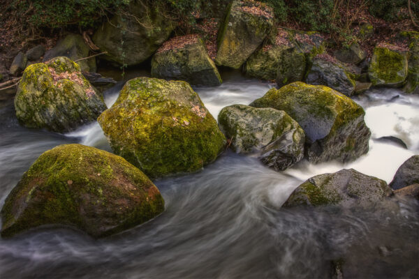 2023-01-FCa-0013-Nette-Rauscherpark-Plaidt