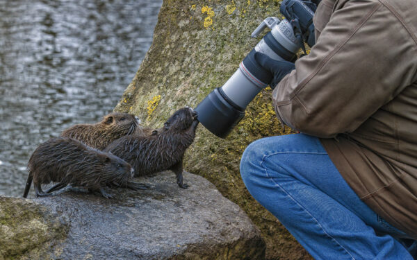 2023-01-FCa-0018-Nutria