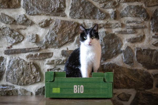 2023-02-FCa-0001-Kasper-EKH