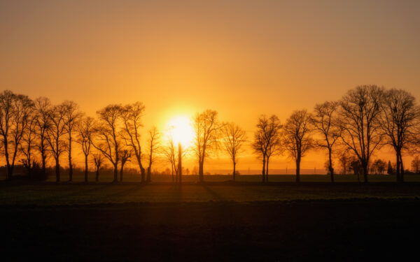 2023-02-FCa-0030-Sonnenuntergang-Voreifel