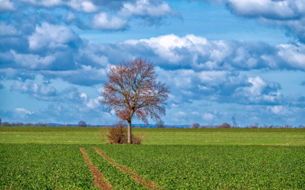 2023-03-FCa-0002-Eifellandschaft-Maerz