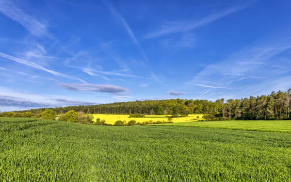 2023-05-FCa-0007-Eifellandschaft-Fruehling
