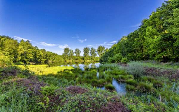 2023-05-FCa-0030-Stallberger-Teiche