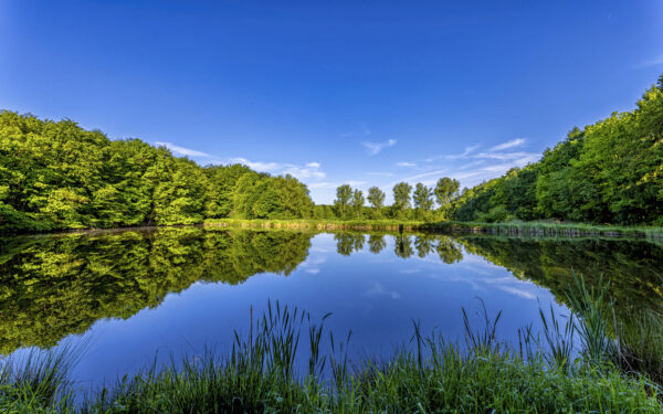 2023-05-FCa-0031-Stallberger-Teiche