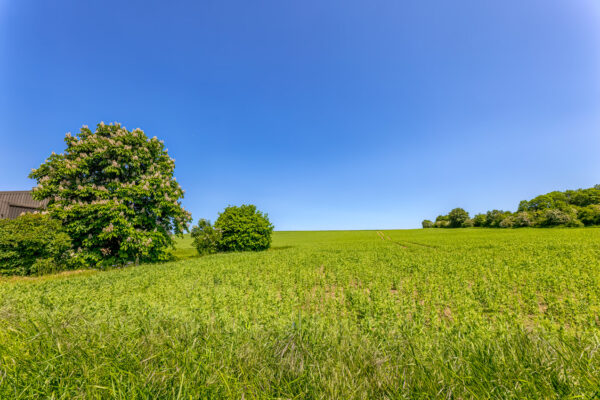 2023-05-FCa-0057-Eifel-Landschaft