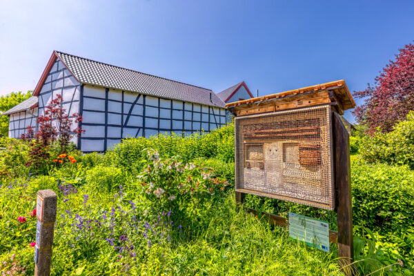 2023-05-FCa-0059-Eifel-Bauerngarten-Bienenhotel