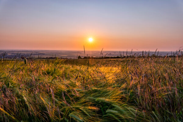 2023-06-FCa-0027-Sonnenaufgang-Nordeifel