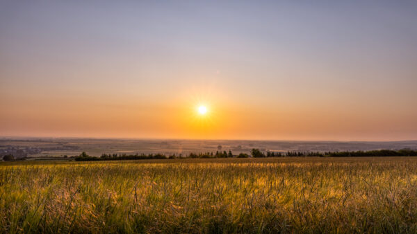 2023-06-FCa-0029-Sonnenaufgang-Nordeifel