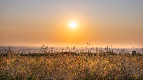 2023-06-FCa-0030-Sonnenaufgang-Nordeifel