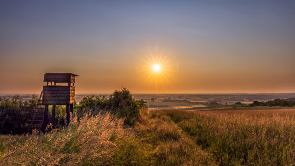 2023-06-FCa-0031-Sonnenaufgang-Nordeifel