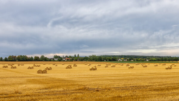 Strohballenlandschaft in der Eifel