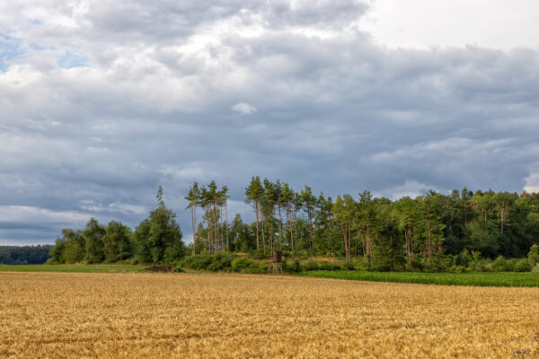 Sp&auml;tsommerlandschaft in der Eifel