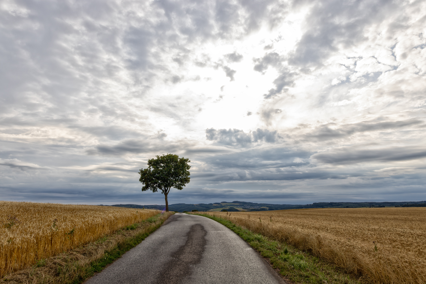 Spätsommerlandschaft in der Eifel