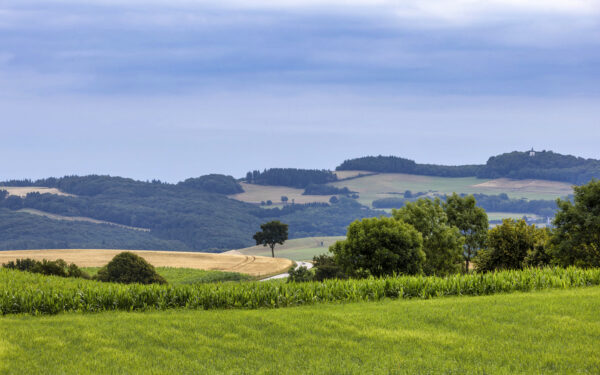 Sp&auml;tsommerlandschaft in der Eifel