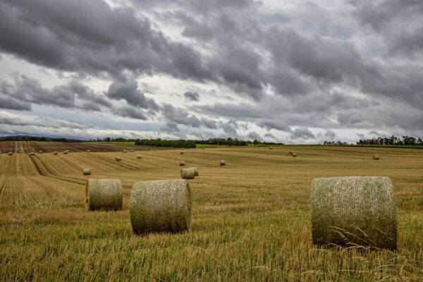 Regnerische Sp&auml;tsommerlandschaft am B&uuml;rvenicher Berg (Eifel)