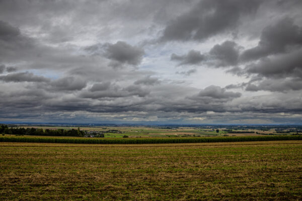 Regnerische Sp&auml;tsommerlandschaft (Z&uuml;lpicher B&ouml;rde)