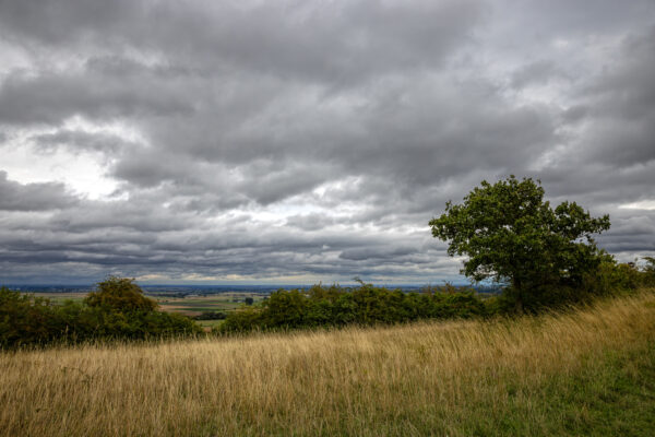 Regnerische Sp&auml;tsommerlandschaft am B&uuml;rvenicher Berg (Eifel)