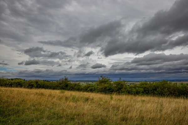 Regnerische Sp&auml;tsommerlandschaft am B&uuml;rvenicher Berg (Eifel)