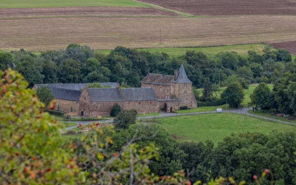 Burg Berg (Berg/Eifel)
