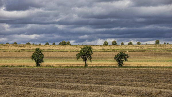 Sp&auml;tsommer in der Eifel
