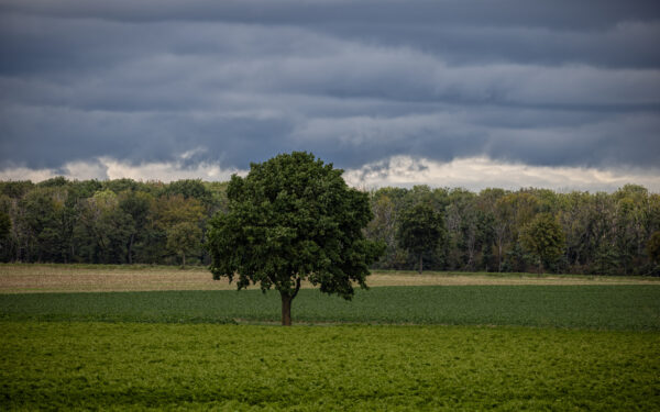 Sp&auml;tsommer in der Eifel
