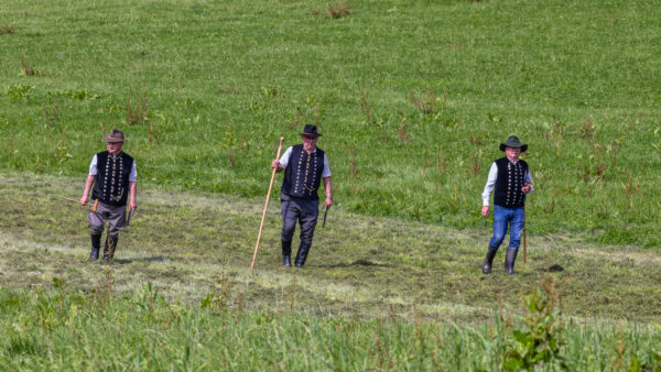 Landesleistungsh&uuml;ten des Schafzuchtverband Rheinland-Pfalz und der Arbeitsgemeinschaft zur Zucht Altdeutscher H&uuml;tehunde Rheinland-Pfalz am 03.09.2023 in Ulmen-Horperath (Leistungsrichter)
