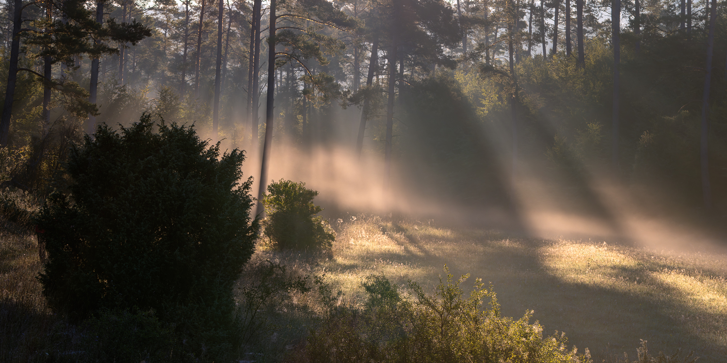 Frühherbstmorgen in der Eifel