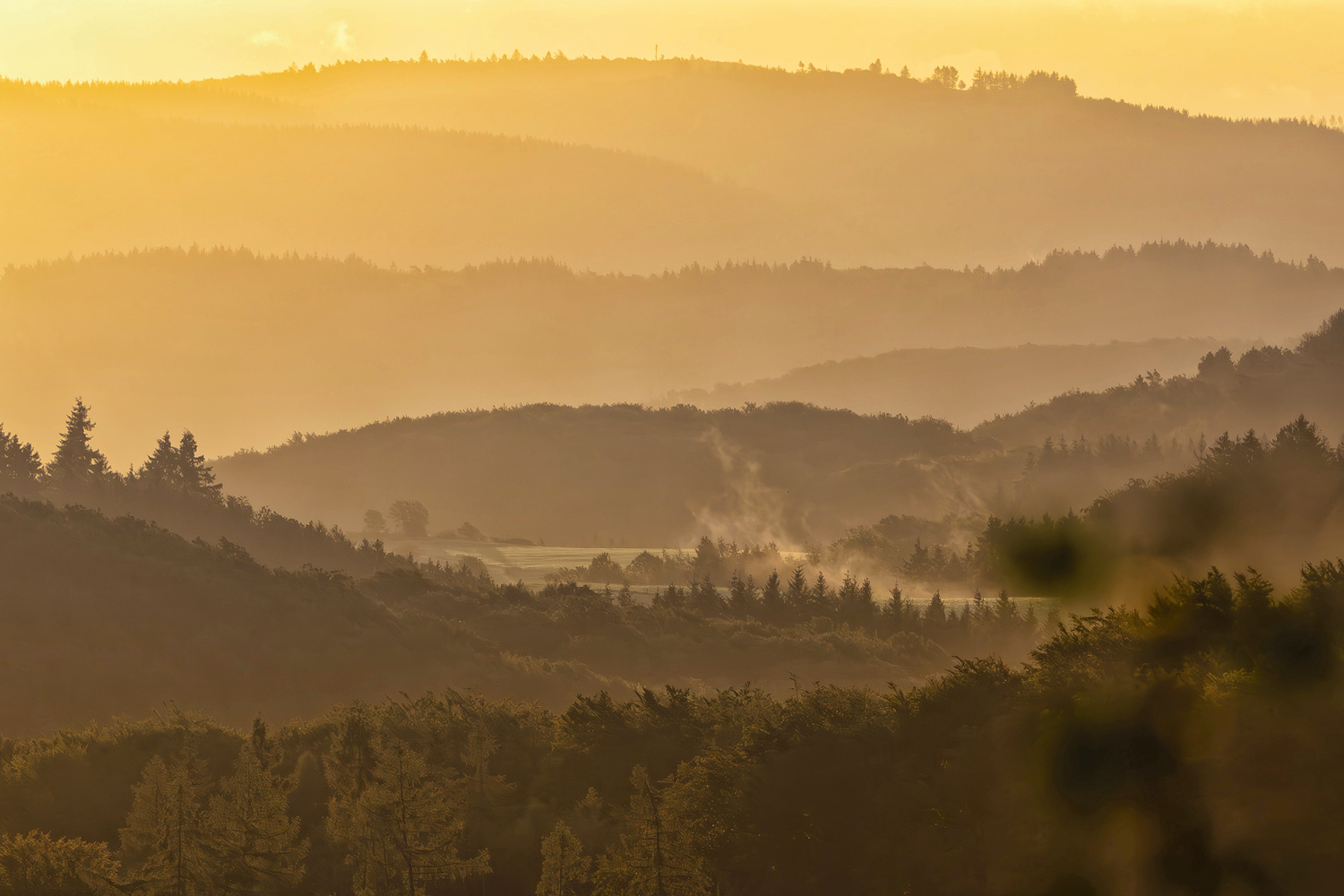 Sonnenaufgang in der Nordeifel