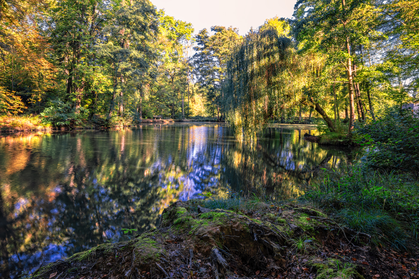 Forstweiher (Rheinbach)