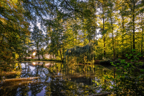 Forstweiher (Rheinbach)