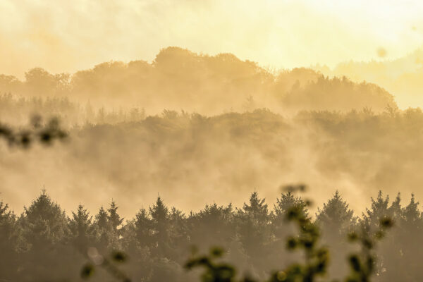 Sonnenaufgang an einem Nebelmorgen &uuml;ber der Nordeifel