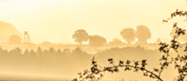 Sonnenaufgang an einem Nebelmorgen &uuml;ber der Nordeifel