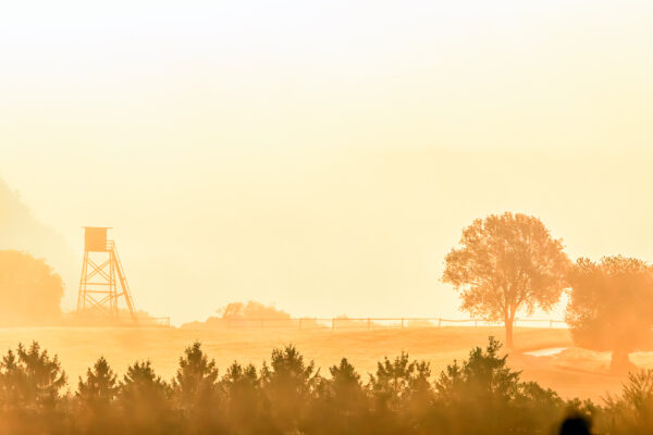 Sonnenaufgang an einem Nebelmorgen &uuml;ber der Nordeifel