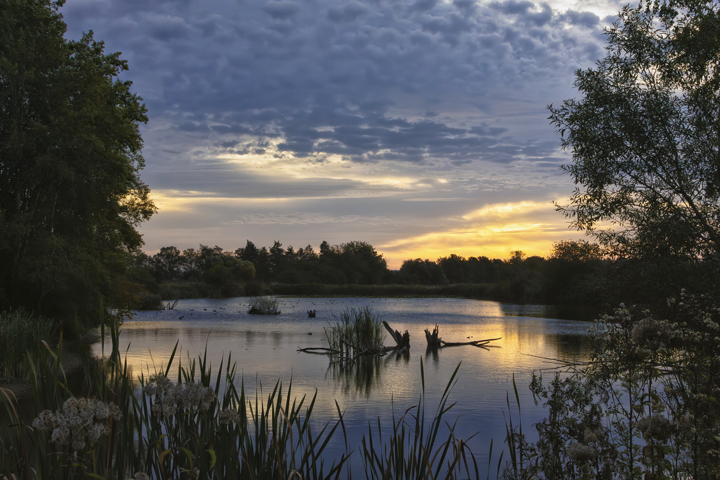 Sonnenaufgang über den Thürer Wiesen