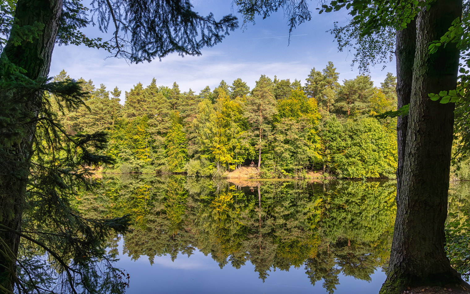 Der Silbersee im Altwald der Ville, der seit 1978 als Naturwald wachsen darf.