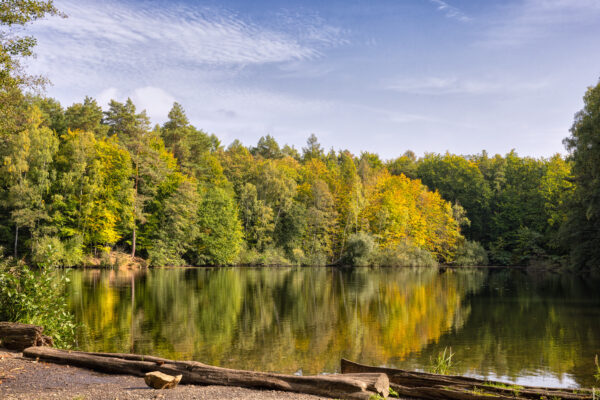Der Silbersee im Altwald der Ville, der seit 1978 als Naturwald wachsen darf.