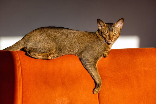 Unser Poldi genie&szlig;t die noch w&auml;rmende Oktobersonne