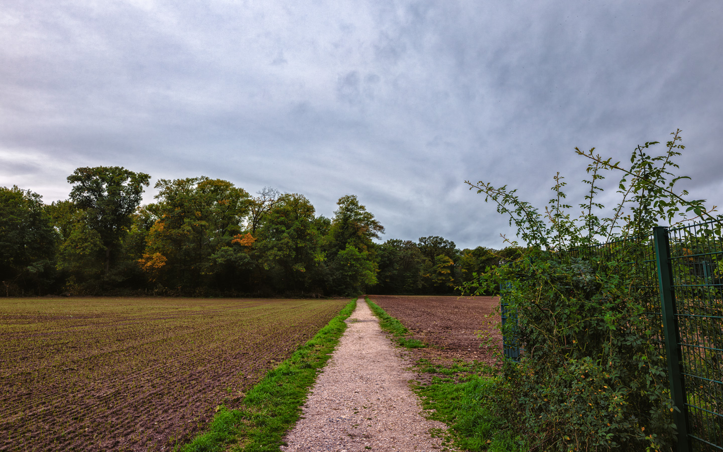 Unterwegs am und im Bornheimer Eichenkamp