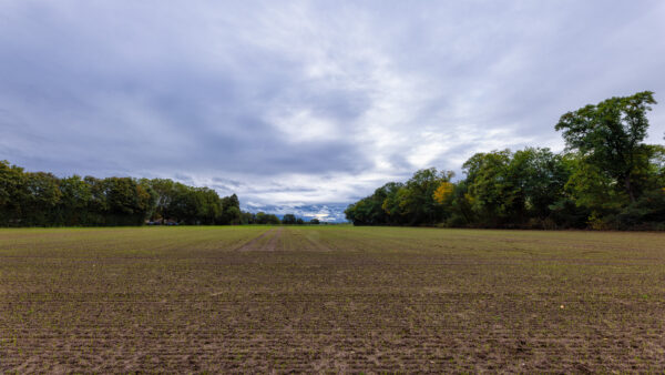 Unterwegs am und im Bornheimer Eichenkamp