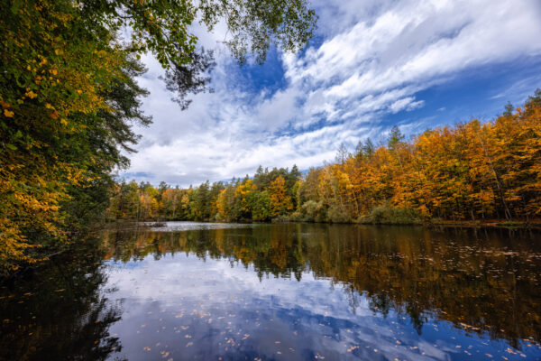 Der Silbersee im Villewald