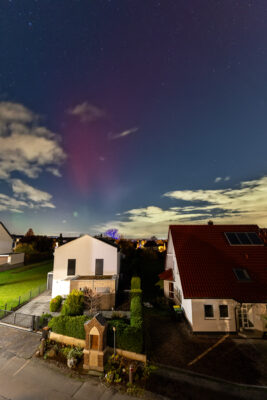 Polarlichter am Abend des 05. November 2023 &uuml;ber dem Vorgebirge (der lila Baum wird angestrahlt, daher die Farbe)
