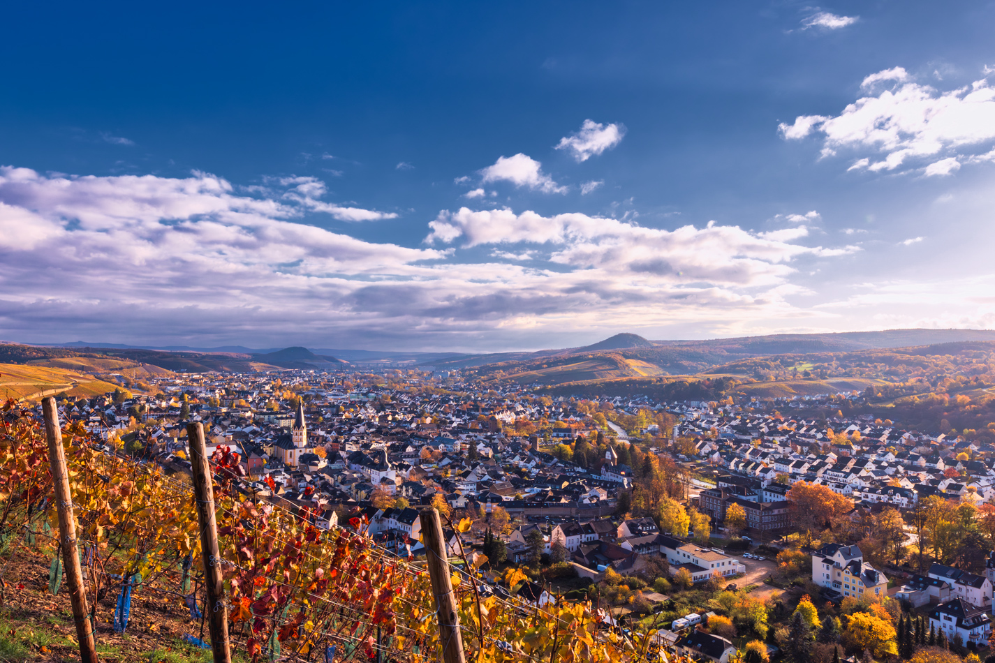 Herbstliche Weinberge oberhalb von Bad Neuenahr-Ahrweiler