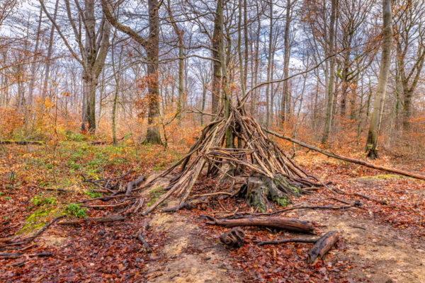 Unterwegs im Villewald