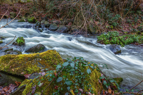 Die Nette im Rauscherpark Plaidt