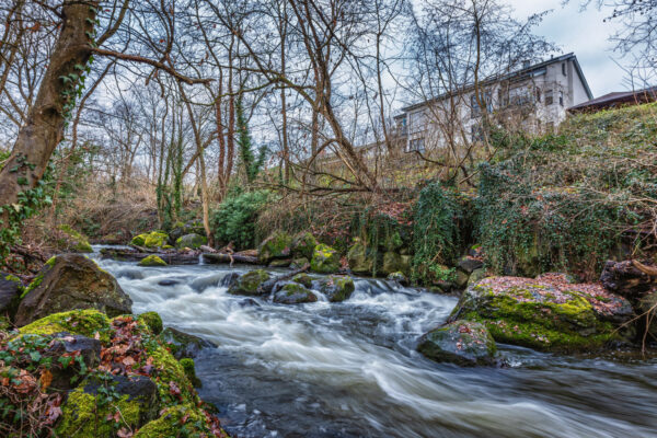 Die Nette im Rauscherpark Plaidt