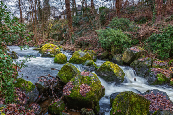Die Nette im Rauscherpark Plaidt